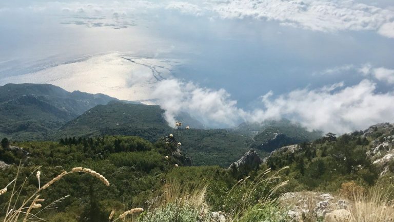 green grass on mountain under white clouds during daytime